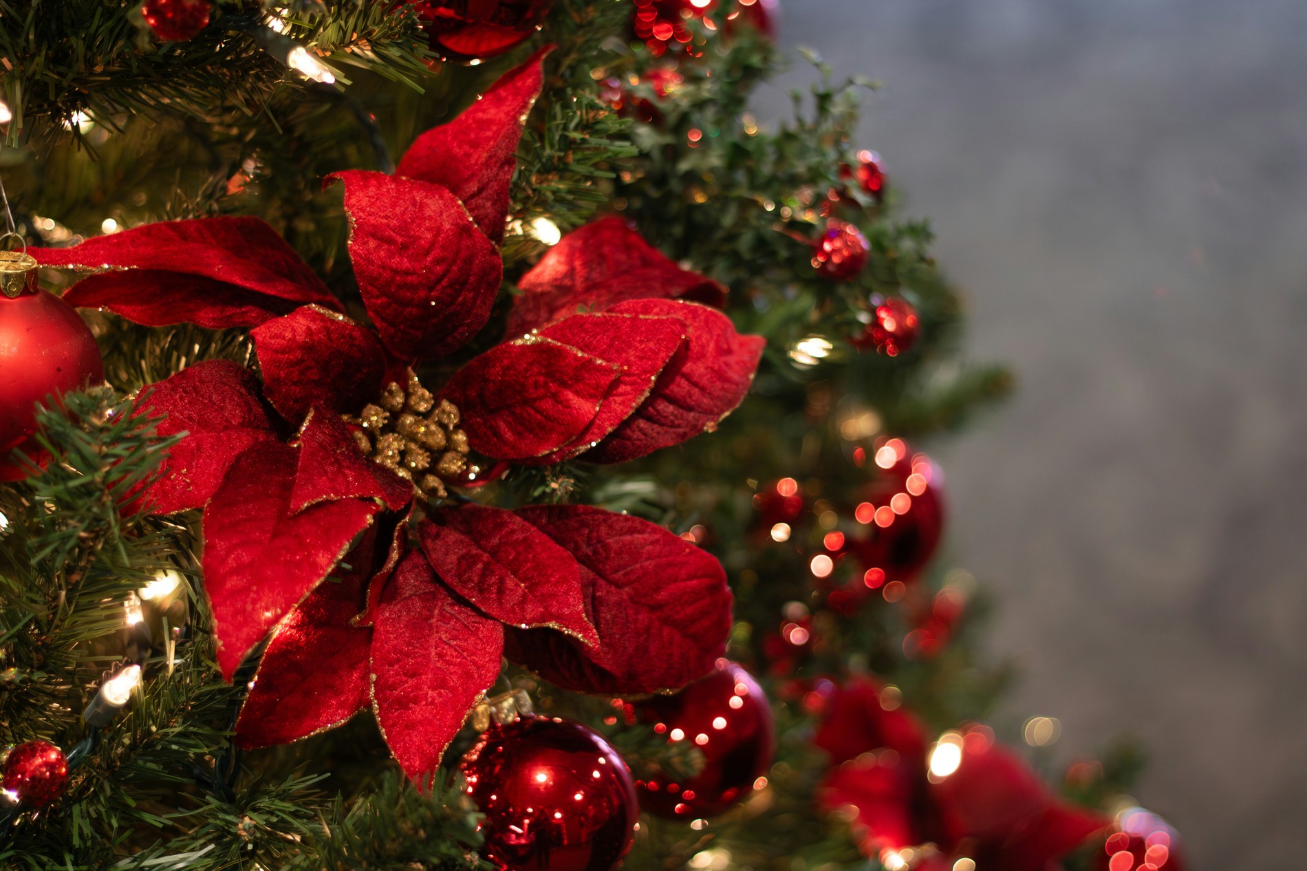 SN_20251222_Weihnachtsgrüße