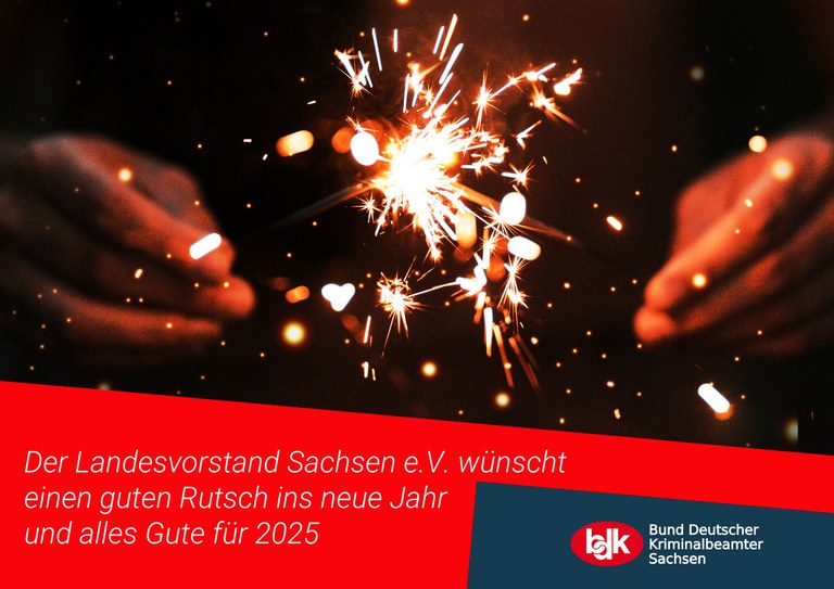 SN_20241229_Silvester.jpeg