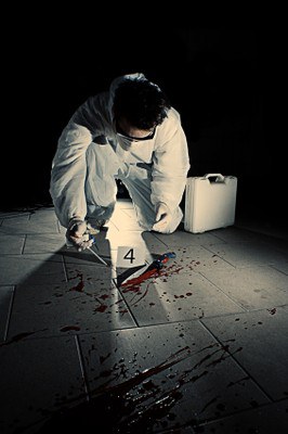 Cold Case: Bisheriges Ergebnis passt Cold Case: Bisheriges Ergebnis passt