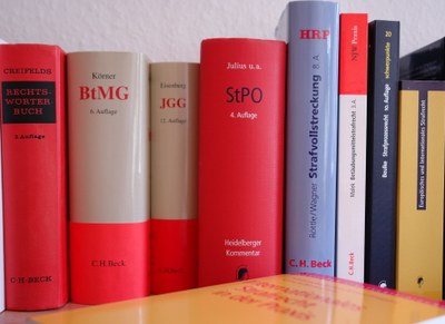 Der Personalmangel im Strafverfahren und seine Folgen Der Personalmangel im Strafverfahren und seine Folgen