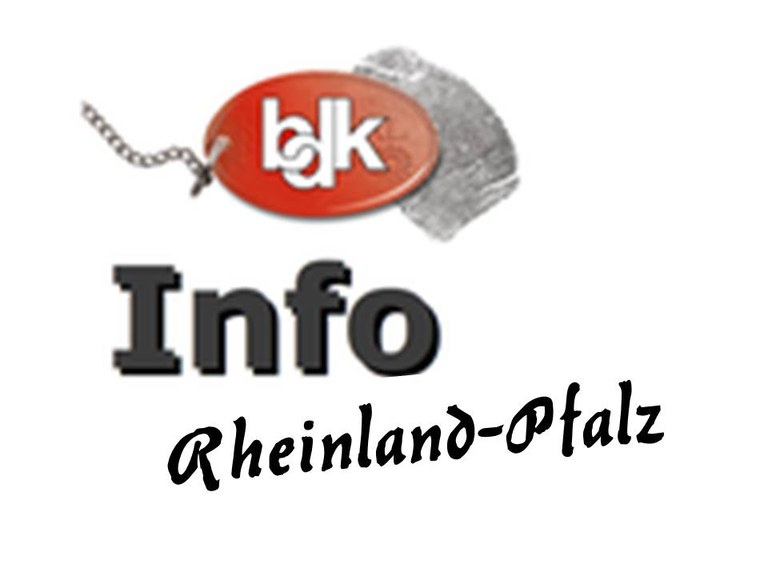 Die Situation der rheinland-pfälzischen Kriminalpolizei Die Situation der rheinland-pfälzischen Kriminalpolizei
