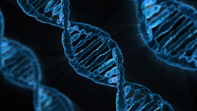 Fachtagung zur erweiterten DNA-Analyse Fachtagung zur erweiterten DNA-Analyse