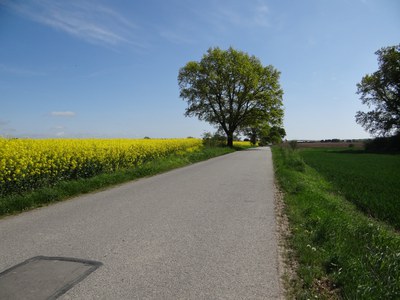 Ferien und Urlaub auch in Mecklenburg-Vorpommern Ferien und Urlaub auch in Mecklenburg-Vorpommern
