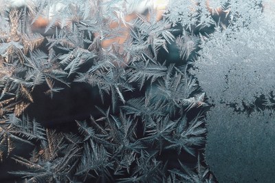 Quick Freeze ist nicht die Lösung Quick Freeze ist nicht die Lösung
