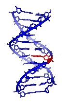 Rechtliche Erweiterung der DNA-Analyse Rechtliche Erweiterung der DNA-Analyse