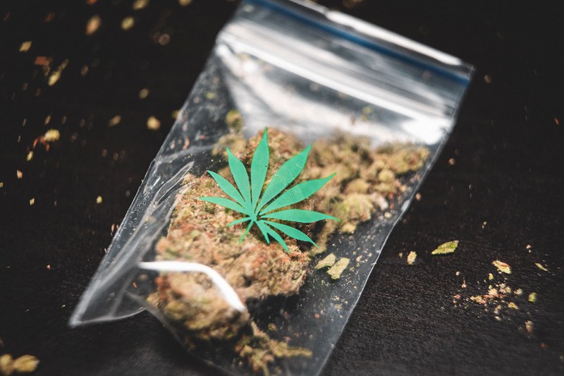 Cannabis Cannabis